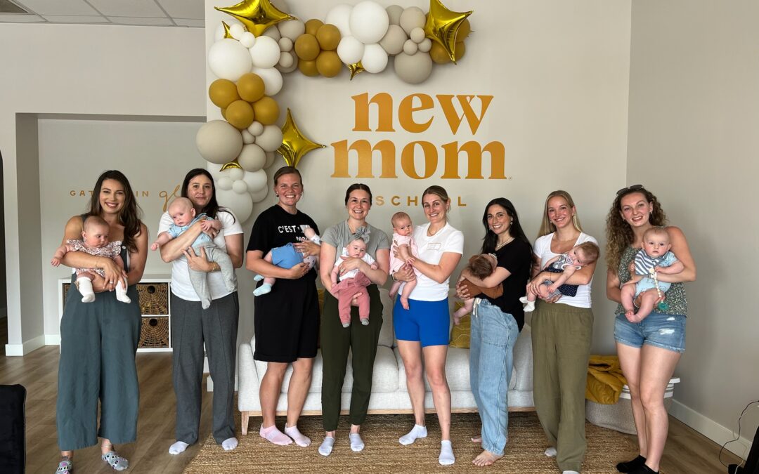INTRODUCING NEW MOM SCHOOL MOUNT PLEASANT